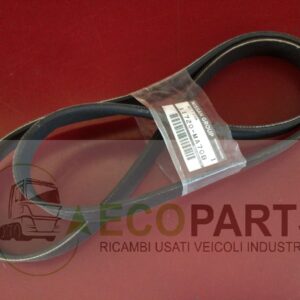 Cinghia motore per Nissan Cabstar