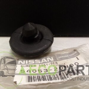 Gomma porta Nissan Cabstar